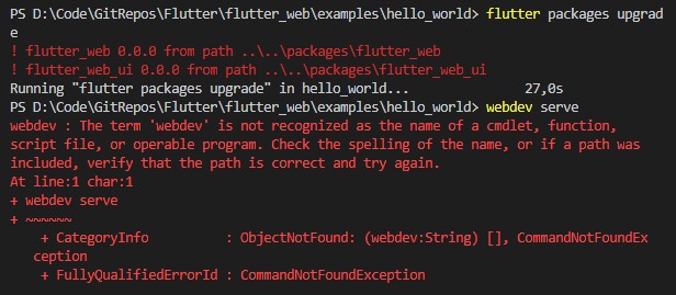 Flutter Web command error